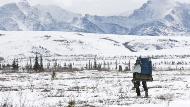 Photo du film : Into the wild