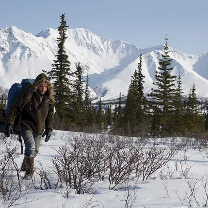 Miniature photo du film : Into the wild