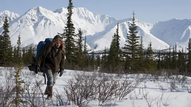 Photo du film : Into the wild