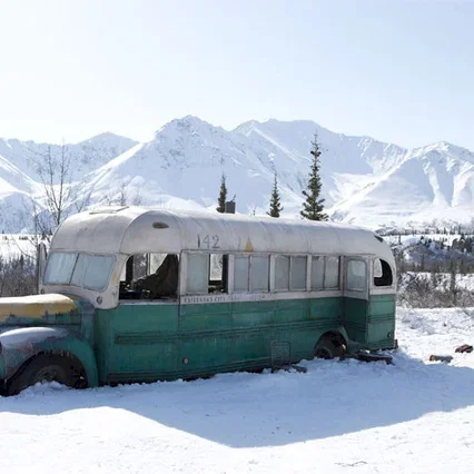 Miniature photo du film : Into the wild