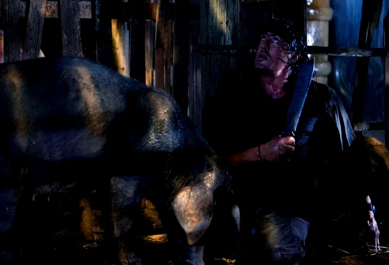 Photo 5 du film : John Rambo