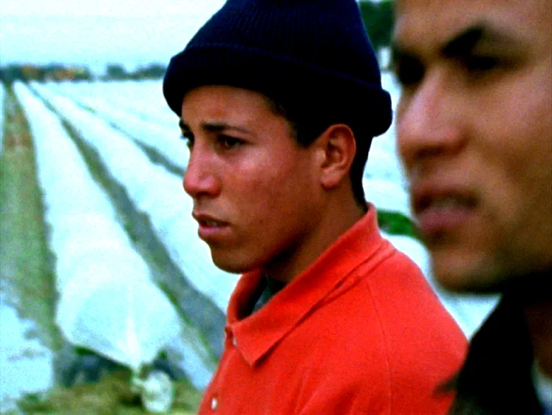 Photo 5 du film : Welcome Europa