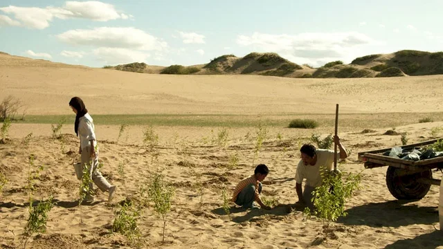 Photo 10 du film : Desert dream