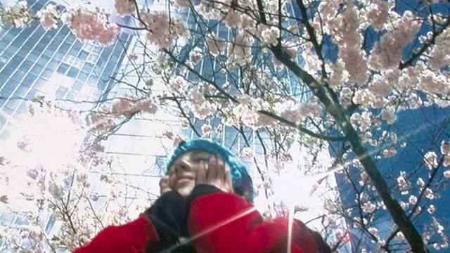 Photo du film : 57 000 km entre nous