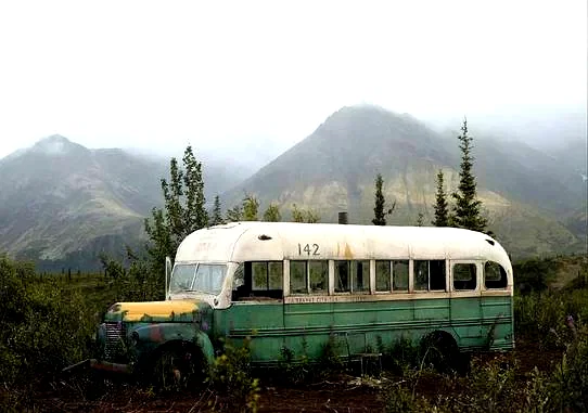 Photo 17 du film : Into the wild