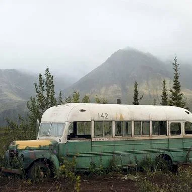 Miniature photo du film : Into the wild