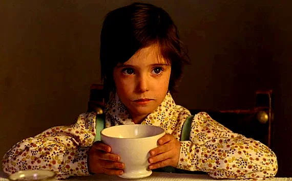 Photo 2 du film : L'esprit de la rûche