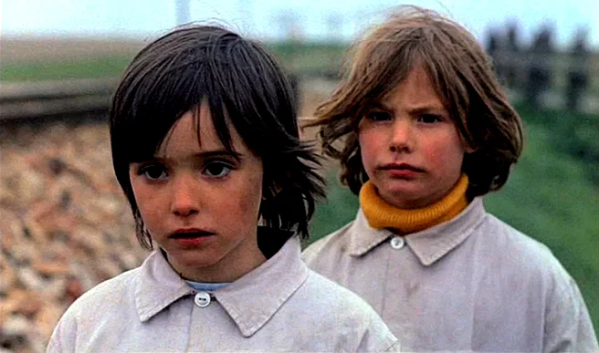 Photo 3 du film : L'esprit de la rûche