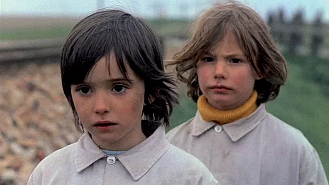Photo 3 du film : L'esprit de la rûche