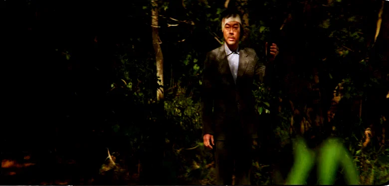 Photo du film : Mad detective