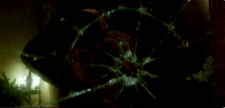 Photo du film : Mad detective