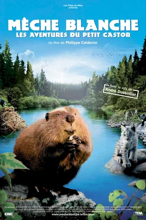 Affiche du film : Mèche Blanche, les aventures du petit castor
