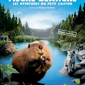 Photo du film : Mèche Blanche, les aventures du petit castor