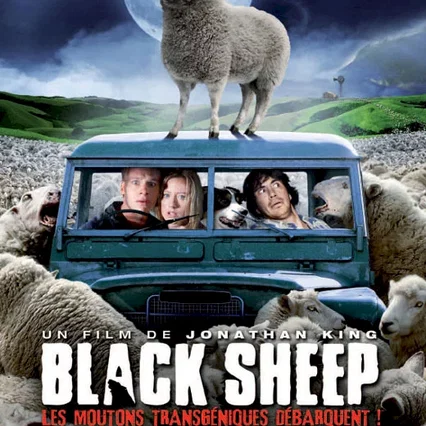 Miniature photo du film : Black sheep