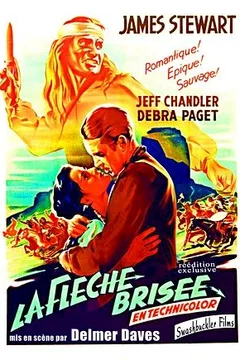 Affiche du film La Flèche brisée