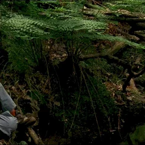 Photo du film : Les petits poucets