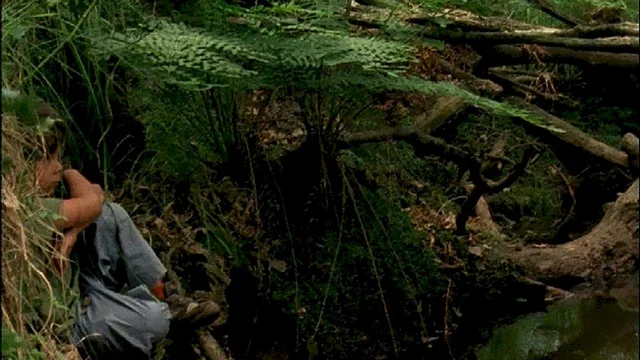 Photo du film : Les petits poucets