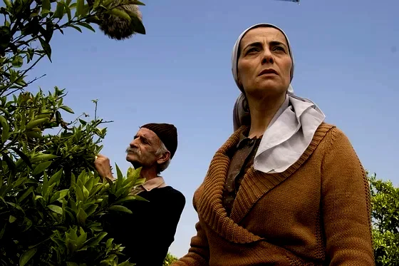 Photo 12 du film : Les citronniers