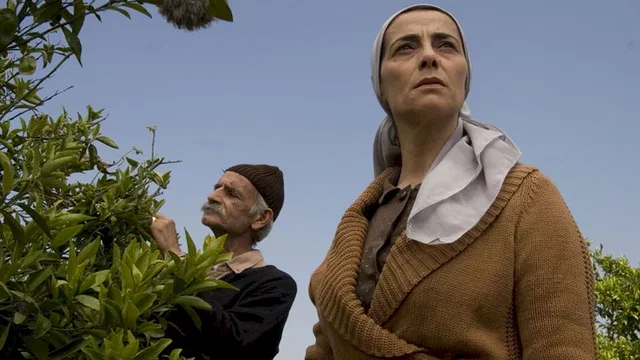 Photo du film : Les citronniers