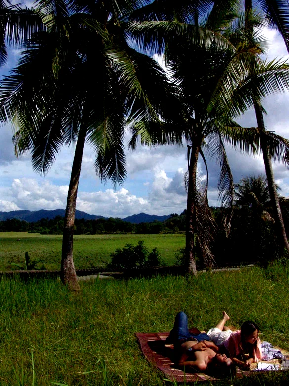 Photo 4 du film : Wonderful town
