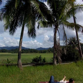 Photo du film : Wonderful town