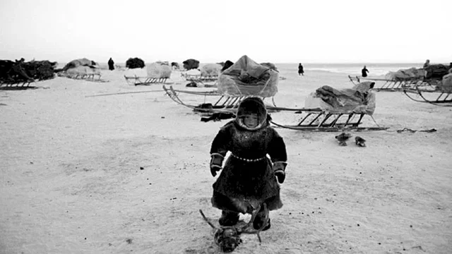 Photo 2 du film : Le voyage perpétuel