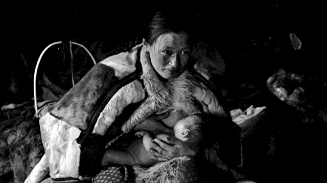 Photo 3 du film : Le voyage perpétuel