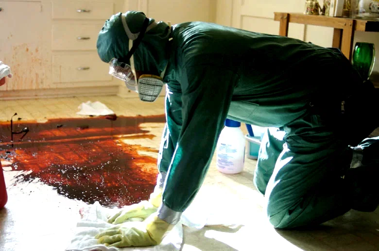 Photo 3 du film : Cleaner