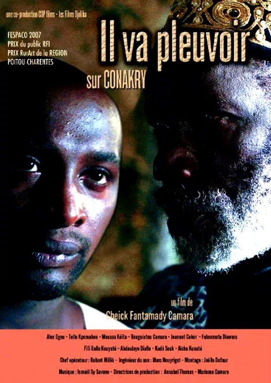 Affiche du film : Il va pleuvoir sur Conakry