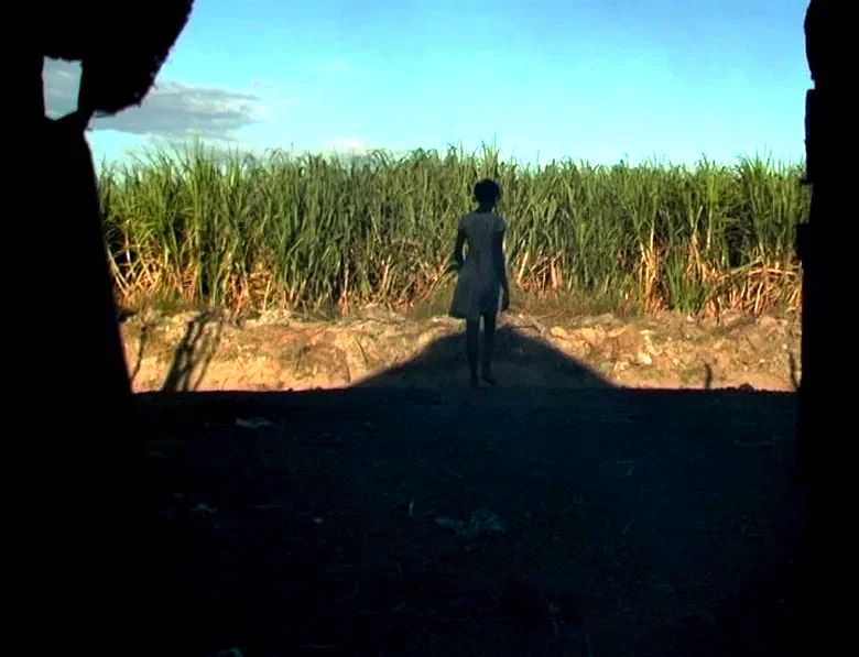 Photo 4 du film : Haïti chérie