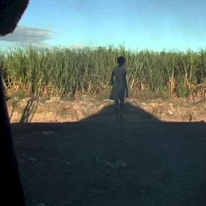 Photo du film : Haïti chérie