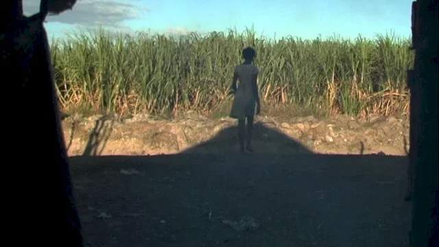 Photo 4 du film : Haïti chérie