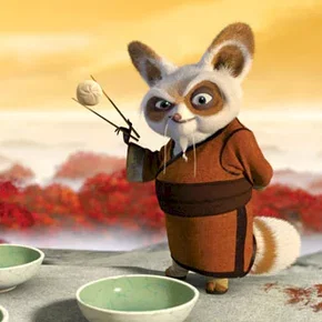 Photo du film : Kung Fu Panda