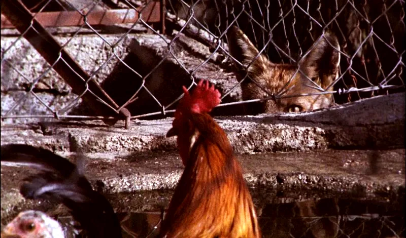 Photo 2 du film : Ce cher mois d'août