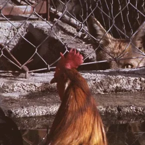 Photo du film : Ce cher mois d'août