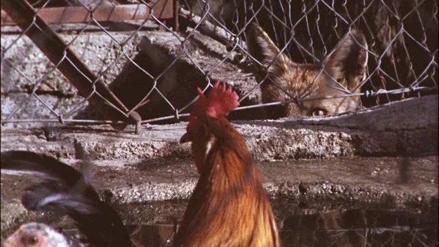 Photo du film : Ce cher mois d'août