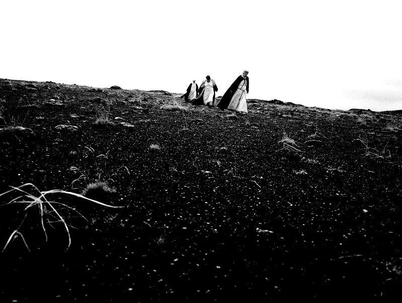 Photo 4 du film : Le Chant des oiseaux