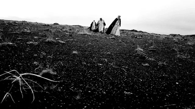 Photo 4 du film : Le Chant des oiseaux