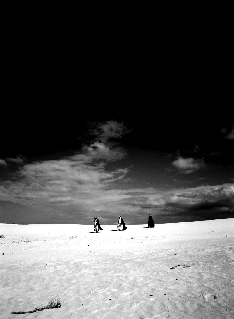 Photo 8 du film : Le Chant des oiseaux