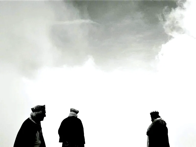 Photo 7 du film : Le Chant des oiseaux