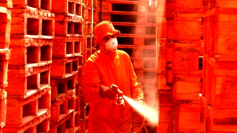 Photo 4 du film : Dernier maquis