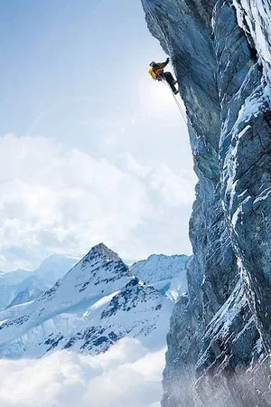 Affiche du film : Les Alpes