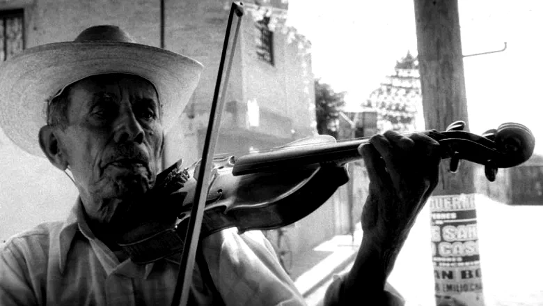 Photo 2 du film : Le violon