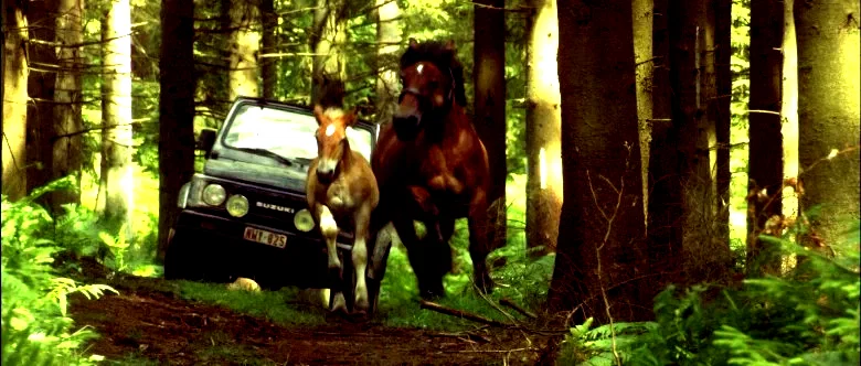 Photo 6 du film : Pom le poulain