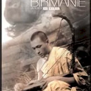 Photo du film : La harpe de Birmanie