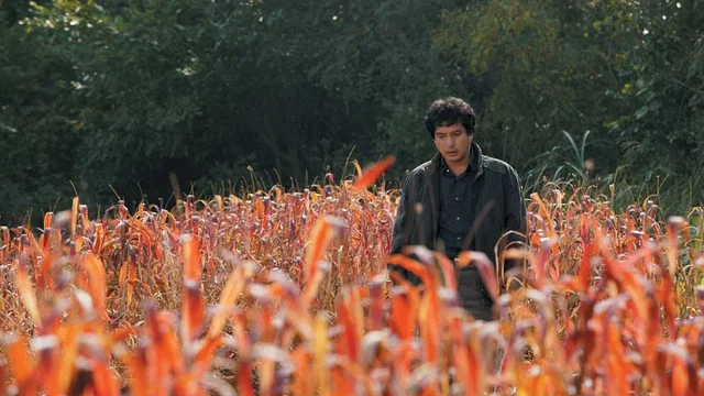 Photo 8 du film : Souvenir