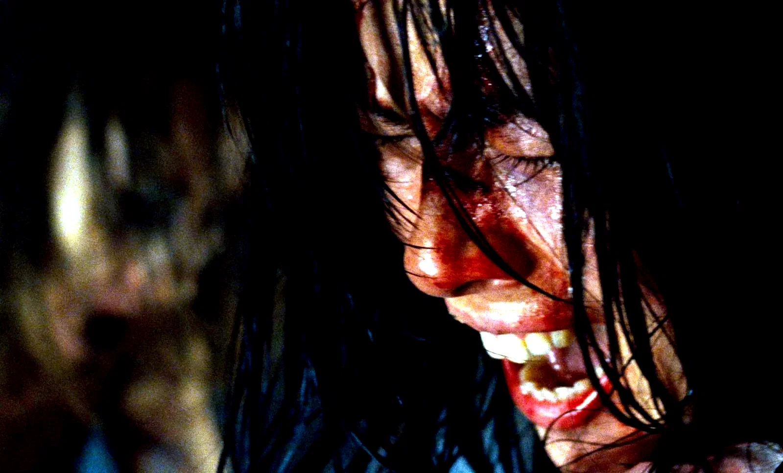 Photo 6 du film : Martyrs