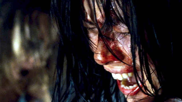 Photo du film : Martyrs