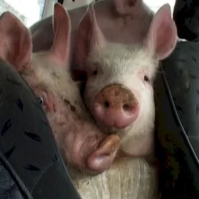 Photo du film : Yvette, bon dieu !
