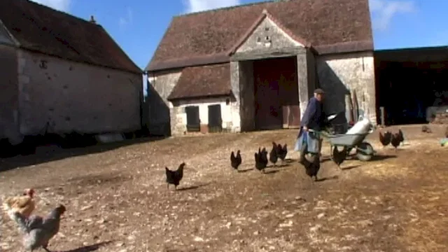 Photo 4 du film : Yvette, bon dieu !